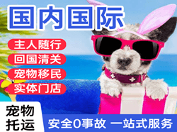 库车龟兹机场邮寄国际宠物托运 【国